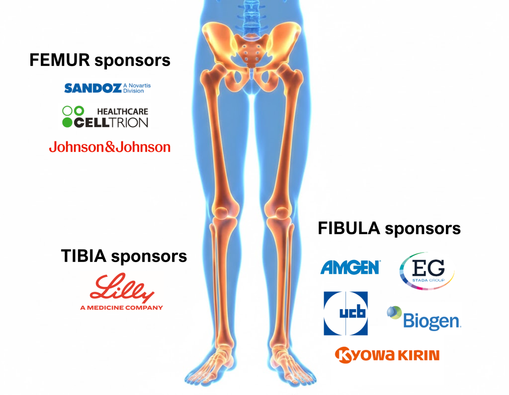 Bone Sponsor Image